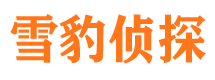 东阿侦探